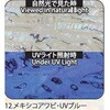 12.UVブルー アワビシート 【メキシコアワビ】 ノーブランド 77458407