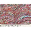 8.レッド アワビシート 【ニュージーランドカルぺ】 ノーブランド 77458416