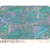 4.グリーン アワビシート 【日本アワビA】 ノーブランド 77458477
