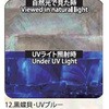12.UVブルー アワビシート 【黒蝶貝】 ノーブランド 77458556