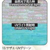 13.UVグリーン アワビシート 【サザエ】 ノーブランド 77458565