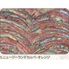 5.オレンジ アワビシート 【ニュージーランドカルぺ】 ノーブランド 77458626