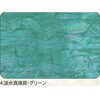 4.グリーン アワビシート 【淡水真珠貝】 ノーブランド 77458696