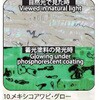 10.グロー アワビシート 【メキシコアワビ】 ノーブランド 77458705