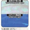 12.UVブルー アワビシート 【夜光貝】 ノーブランド 77458721