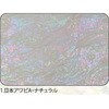 1.ナチュラル アワビシート 【日本アワビA】 ノーブランド 77458748