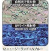 12.UVブルー アワビシート 【ニュージーランドアワビ】 ノーブランド 77458766