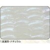 1.ナチュラル アワビシート 【高瀬貝】 ノーブランド 77458791