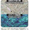 13.UVグリーン アワビシート 【ニュージーランドカルぺ】 ノーブランド 77458818