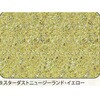 9.イエロー アワビシート 【スターダスト・ニュージーランドアワビ】 ノーブランド 77458888