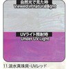11.UVレッド アワビシート 【淡水真珠貝】 ノーブランド 77458940
