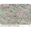 1.ナチュラル アワビシート 【ニュージーランドアワビ】 ノーブランド 77458949