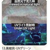 13.UVグリーン アワビシート 【黒蝶貝】 ノーブランド 77459028