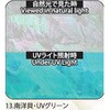 13.UVグリーン アワビシート 【南洋貝】 ノーブランド 77459080