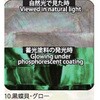 10.グロー アワビシート 【黒蝶貝】 ノーブランド 77459159