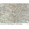 1.ナチュラル アワビシート 【ニュージーランドカルぺ】 ノーブランド 77459220