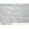 1.ナチュラル アワビシート 【南洋貝】 ノーブランド 77459256