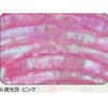 6.ピンク アワビシート 【夜光貝】 ノーブランド 77459281