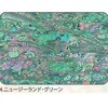 4.グリーン アワビシート 【ニュージーランドアワビ】 ノーブランド 77459360