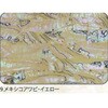 9.イエロー アワビシート 【メキシコアワビ】 ノーブランド 77459421