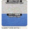12.UVブルー アワビシート 【日本アワビB】 ノーブランド 77459430