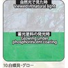 10.グロー アワビシート 【白蝶貝】 ノーブランド 77459448