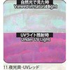 11.UVレッド アワビシート 【夜光貝】 ノーブランド 77459491