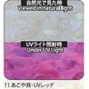 11.UVレッド アワビシート 【あこや貝】 ノーブランド 77459518