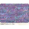 7.パープル アワビシート 【日本アワビA】 ノーブランド 77459545