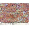 5.オレンジ アワビシート 【ニュージーランドアワビ】 ノーブランド 77459570