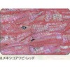 8.レッド アワビシート 【メキシコアワビ】 ノーブランド 77459579