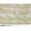 9.イエロー アワビシート 【南洋貝】 ノーブランド 77459667