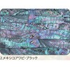 2.ブラック アワビシート 【メキシコアワビ】 ノーブランド 77459719