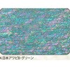 4.グリーン アワビシート 【日本アワビB】 ノーブランド 77459728