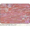5.オレンジ アワビシート 【メキシコアワビ】 ノーブランド 77459737