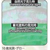 10.グロー アワビシート 【夜光貝】 ノーブランド 77459771