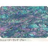 3.ブルー アワビシート 【ニュージーランドアワビ】 ノーブランド 77459825