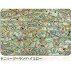 9.イエロー アワビシート 【ニュージーランドアワビ】 ノーブランド 77459911