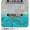13.UVグリーン アワビシート 【黄蝶貝】 ノーブランド 77459956