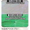 10.グロー アワビシート 【日本アワビA】 ノーブランド 77459999