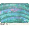 4.グリーン アワビシート 【夜光貝】 ノーブランド 77460008