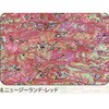 8.レッド アワビシート 【ニュージーランドアワビ】 ノーブランド 77460026