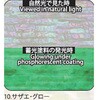 10.グロー アワビシート 【サザエ】 ノーブランド 77460069