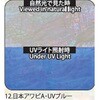 12.UVブルー アワビシート 【日本アワビA】 ノーブランド 77460105