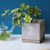 CBGZ2023 FEEL THE GARDEN Zgv^[ XNGA XpCX 77496616