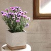 CBGZ2023 FEEL THE GARDEN Zgv^[ XNGA XpCX 77496616