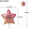 BLN-FPM7 バルーンフラワーピック HEADS(ヘッズ) 77796035