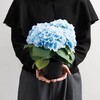 DEC-AJS1 あじさいデコレーション HEADS(ヘッズ) 77797216