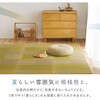 81971210 い草ラグ(裏貼り) 晴市松 萩原 77797277