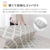 240632431 プレイマット エクスアニマル 萩原 77797311